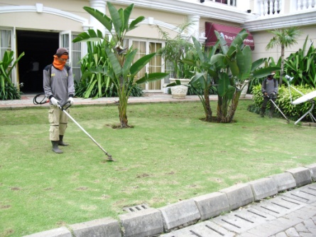 Biosis-landscaping-mesin-potong-rumput-.png