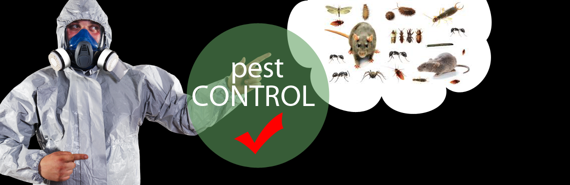 https://www.biosis.co.id/wp-content/uploads/2014/05/biosis_pest_control.png