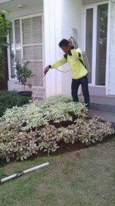 Kegiatan Penyemprotan tanaman oleh Biosis