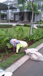 Landscaping_Biosis