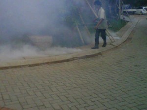 Foging di area komplek perumahan untuk membasmi nyamuk dewasa