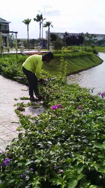 pemeliharaan taman oleh biosis (2)