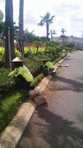 Pemeliharaan Taman oleh Biosis