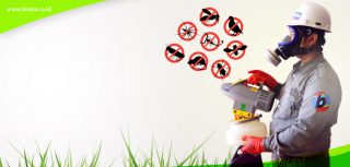 pest control jakarta