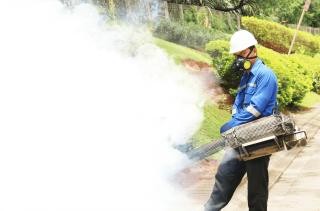 pest control jakarta