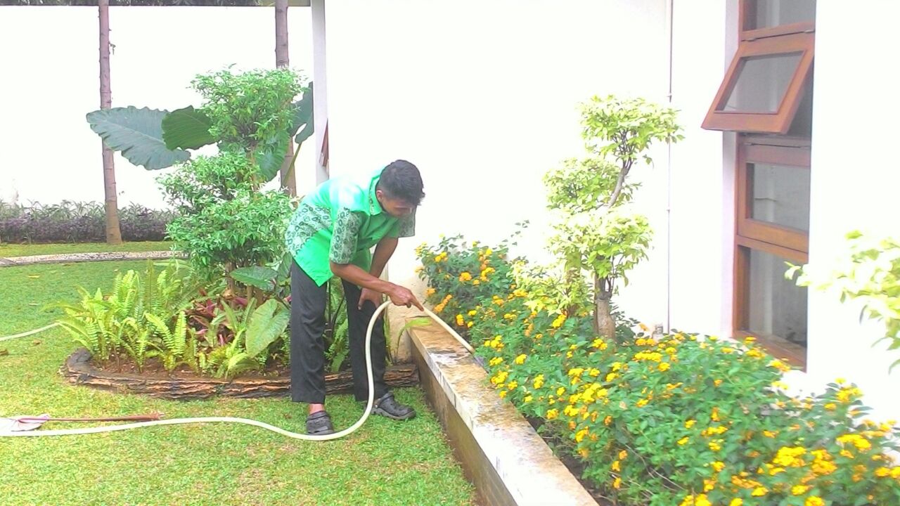 Landscaping Di Komplek Perumahan Jasa Tukang Kebun Dan Taman