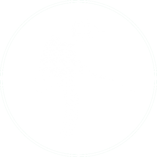 jasa pengendalian hama