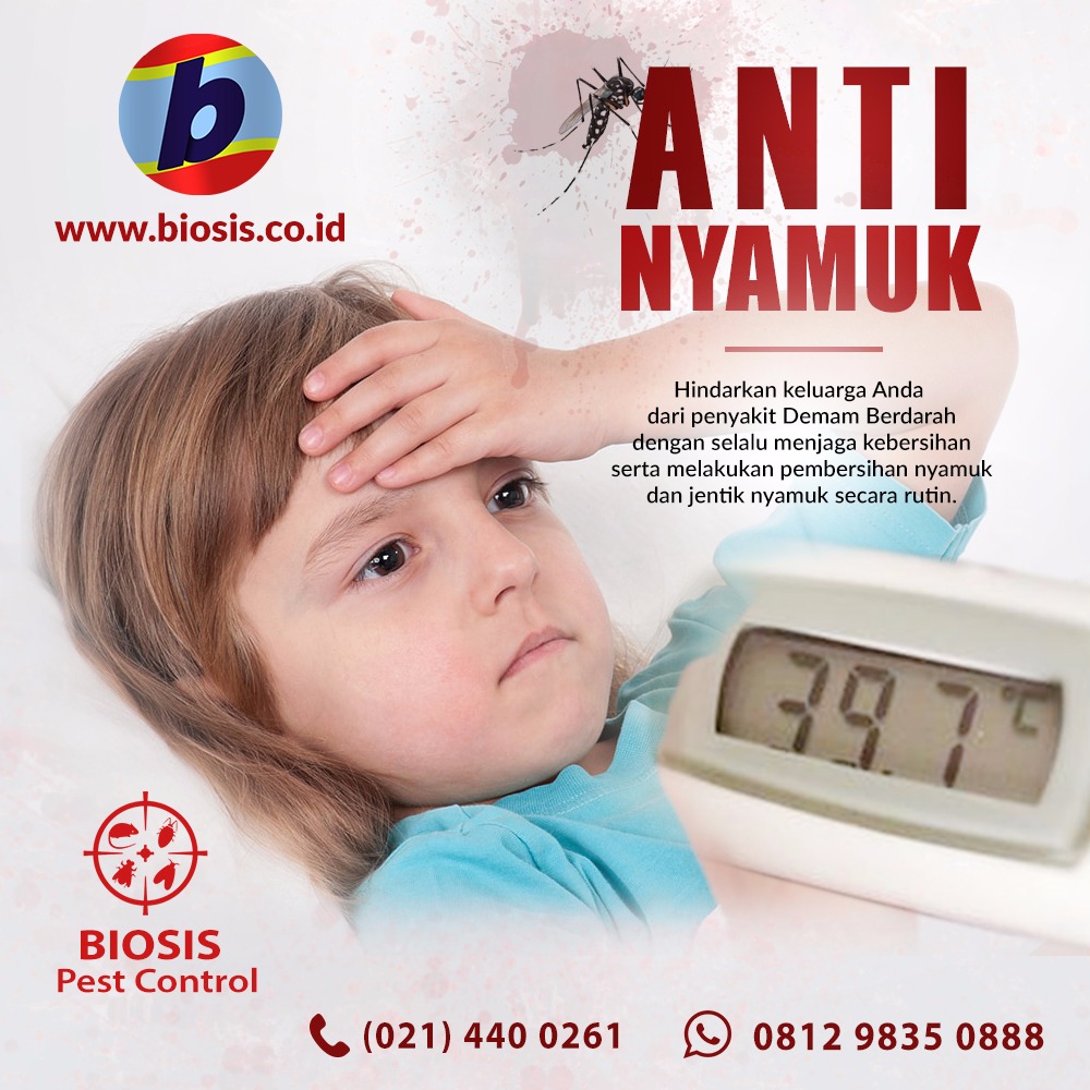 www.biosis.co.id - 021.4400261 - Jasa Fogging Nyamuk Jasa Fogging Nyamuk, Jasa Pest Control, Aedes aegypti, Nyamuk Aedes aegypti di Jakarta, Bekasi, Depok